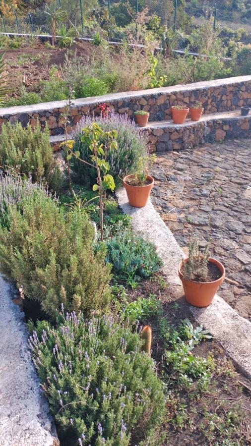 Finca Cosmos 埃尔帕索 外观 照片