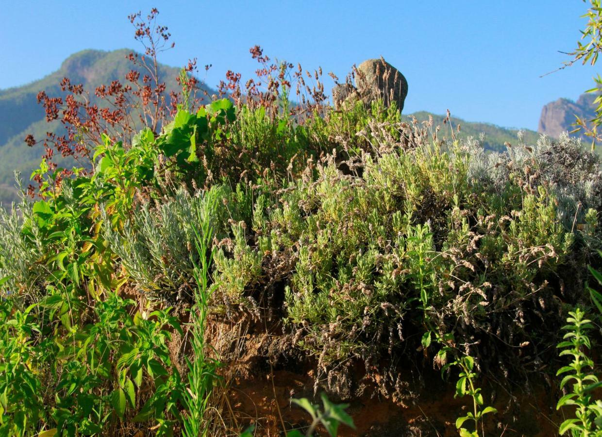 Finca Cosmos 埃尔帕索 外观 照片